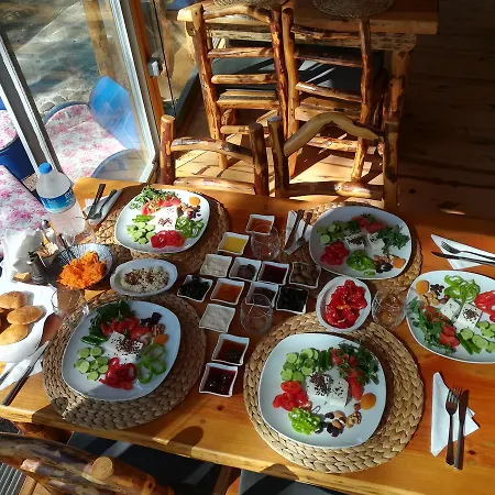 Tanrilar Kulubu * Олимпос