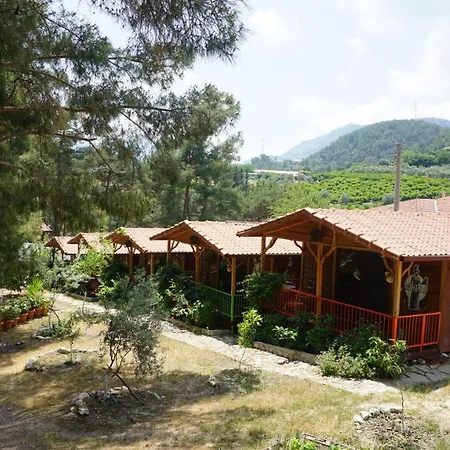 Tanrilar Kulubu