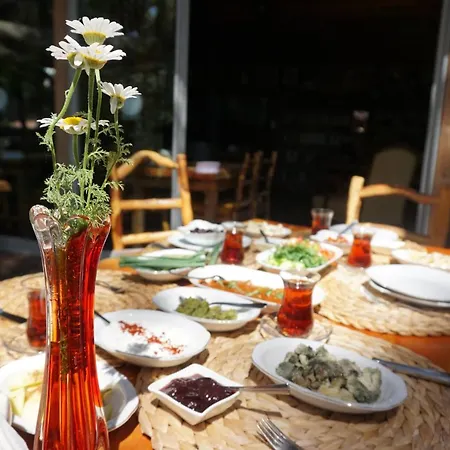 Guest house Tanrilar Kulubu