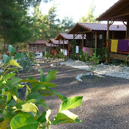 Tanrilar Kulubu Guest house Olympos