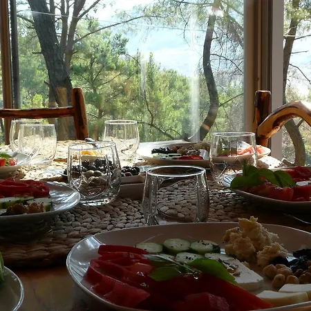 Tanrilar Kulubu Guest house